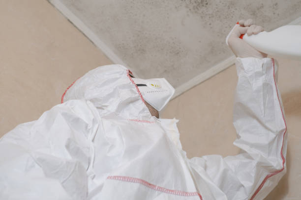 Best Commercial Mold Removal  in Camp Swift, TX