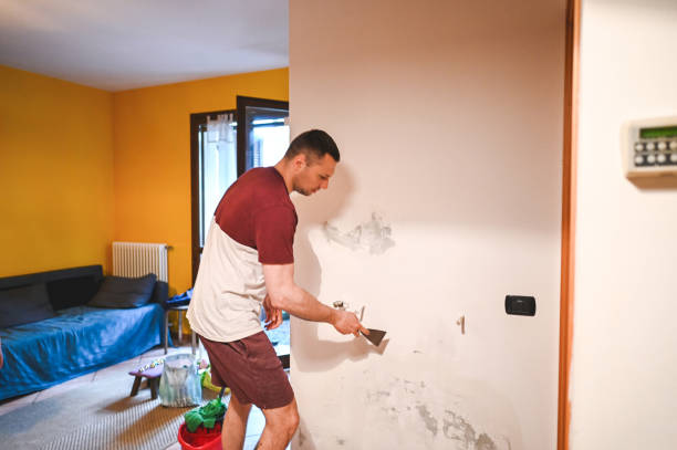 Best Fast Mold Removal  in Camp Swift, TX